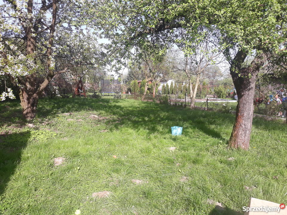 Sprzedam działkę rekreacyjną ROD Płock