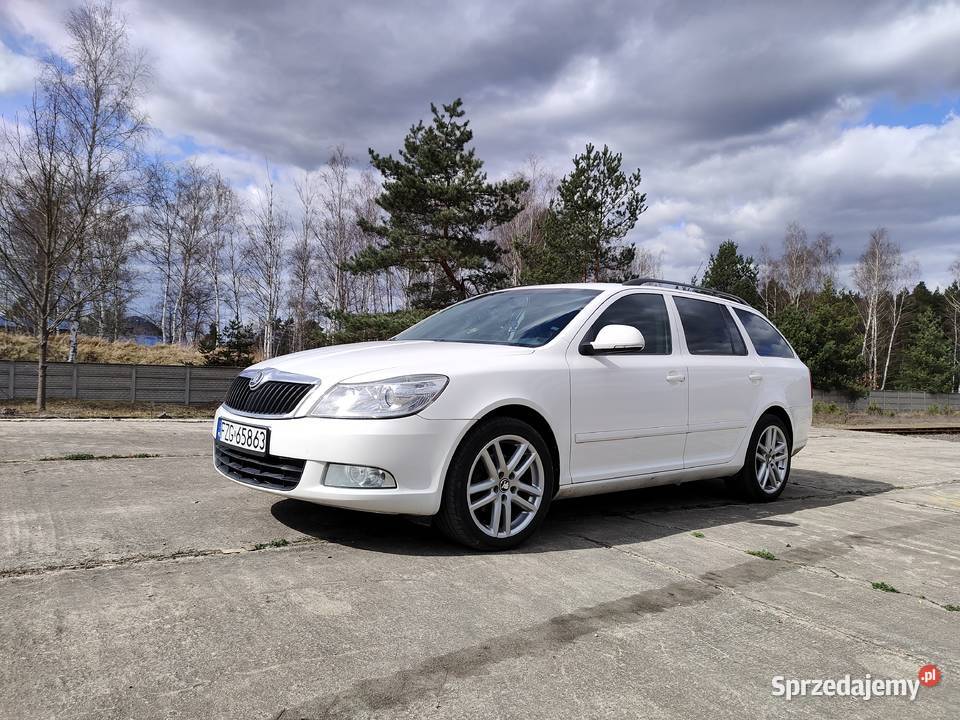 Octavia II FL kombi w trasy światła przeciwmgielne Octavia Poznań
