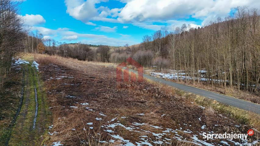 sprzedaży działki Nawsie 700m2 37zł/m2 Grunty i działki sprzedam
