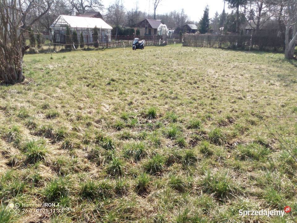 Działka ROD Słonecznik woda prąd i zielona