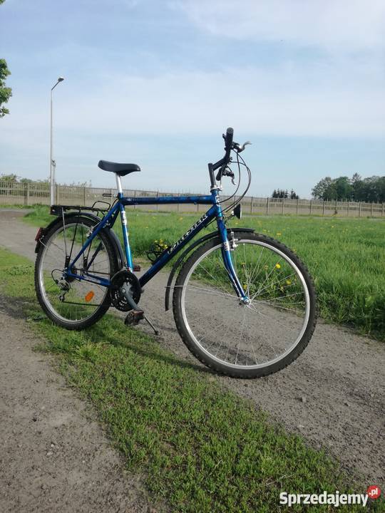 Rower FORESTER 26