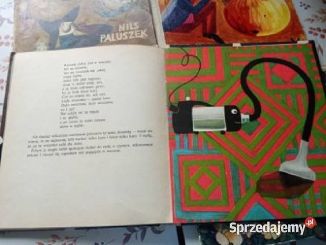 a to było tak Zarembina Księżniczka głogu Anczyc