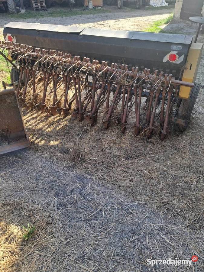 Poznaniak Klonownica Mała