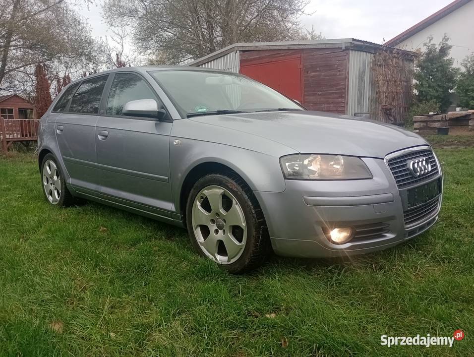 Audi A3 8P SportBeck 1984cm3 Choszczno