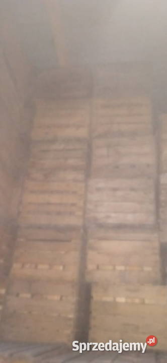 Skrzynki jedynki Samborzec