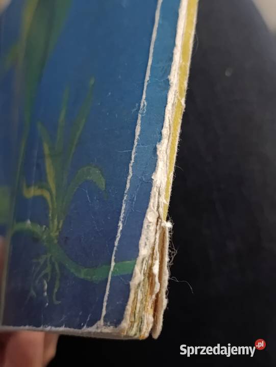 Akwarium i jego mieszkańcy autorstwa Mirosława wielkopolskie sprzedam