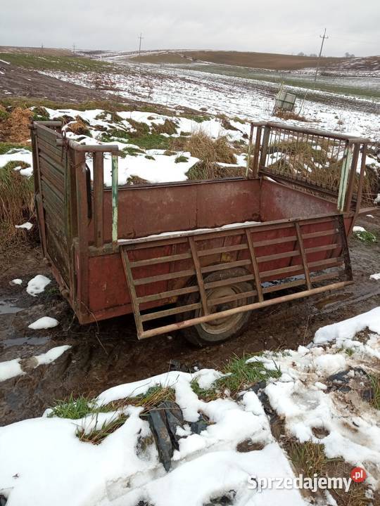 Dwukółka wózek dwukołówka przyczepa nieuszkodzony świętokrzyskie Kaczkowice
