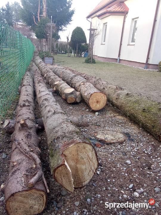 Sprzedam Kłody kloce sosna świerk