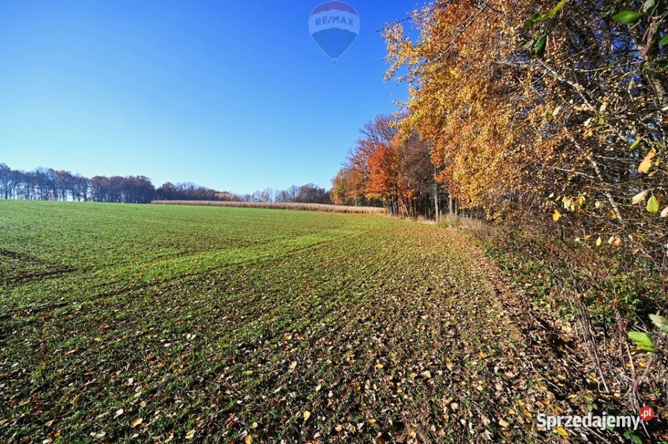 Działka rolna Witkowice Osiek