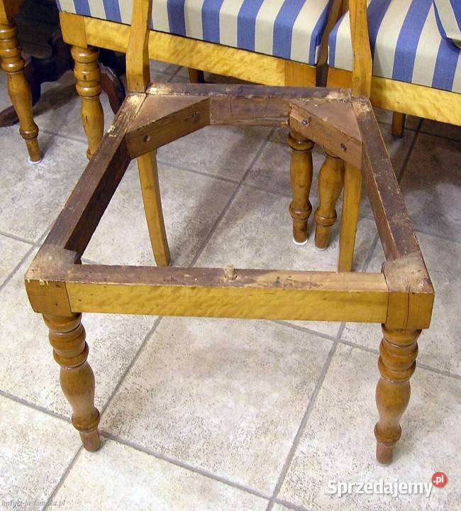 6 krzeseł Biedermeier brzoza pomorskie Sopot