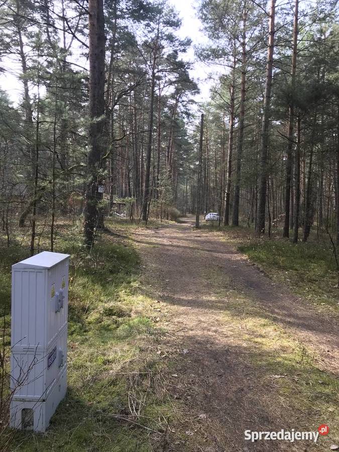 Świetna działka sprzedam Wilga