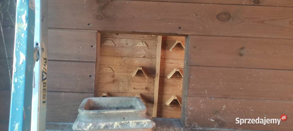 Sprzedam Gołębnik Żuków