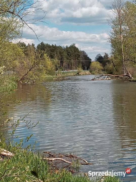 Dolina Liwca i Natura 2000 sasiedzku Sprzedaż sprzedam