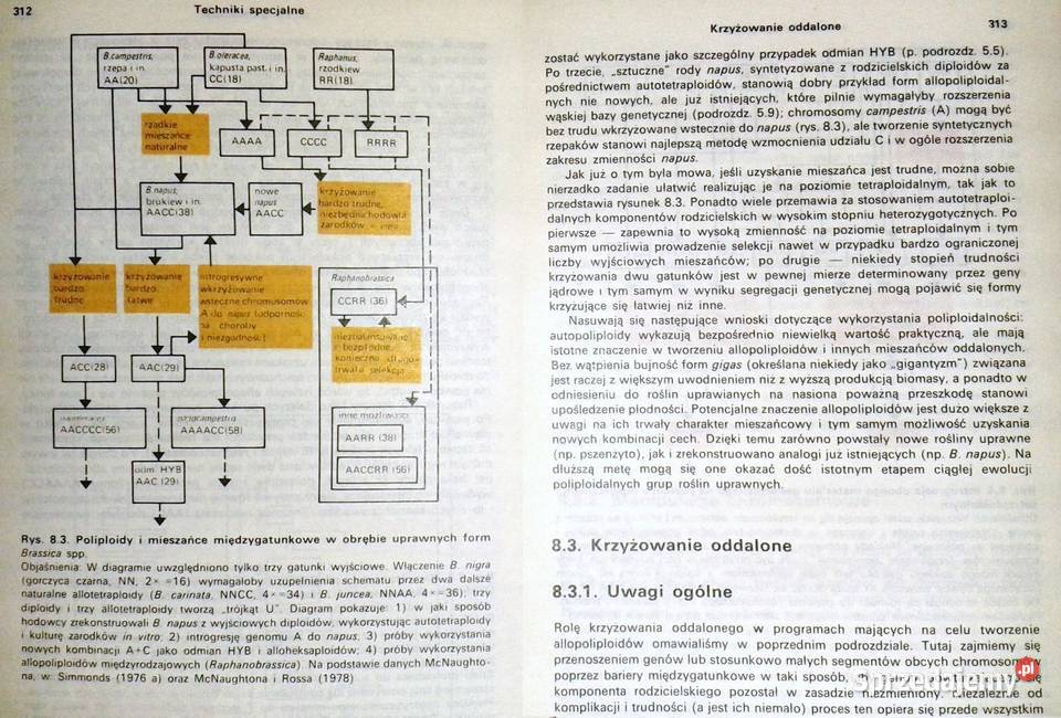 Podstawy hodowli roślin N W Simmonds Chełm
