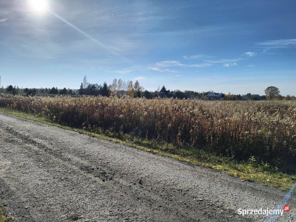 Działka Nowy Staw 14371m2 216m sprzedam