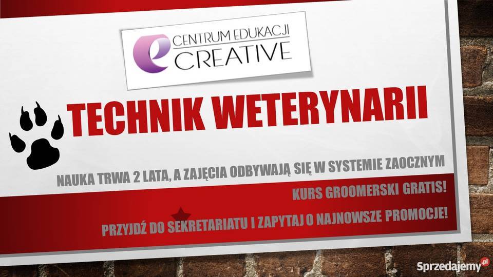 KURS GROOMERSKI Dla zwierząt Kraków