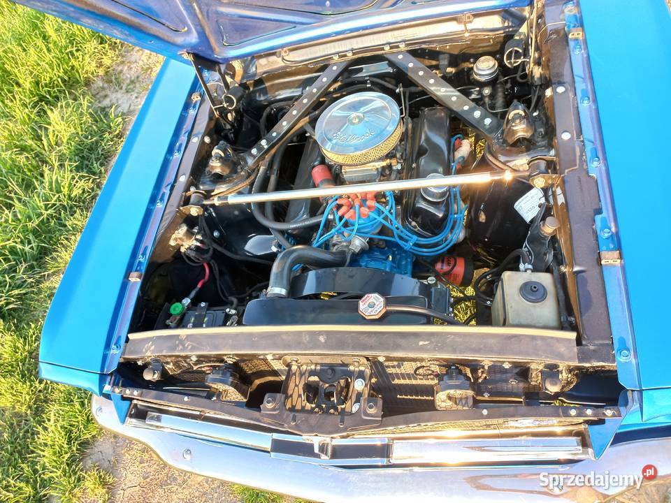 Ford Mustang 1965 v8 Czechowice-Dziedzice sprzedam