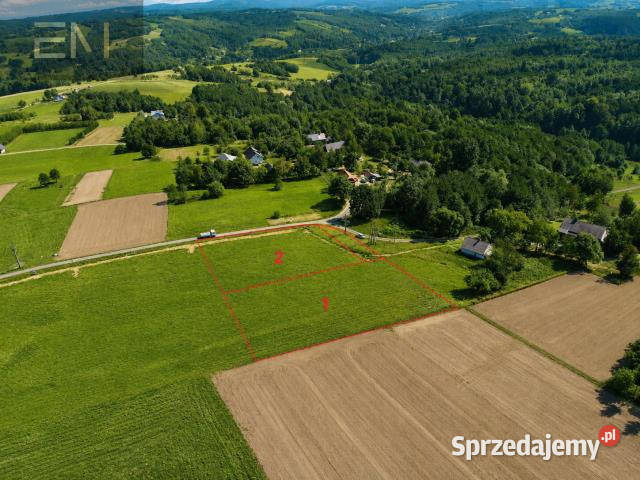 Grunt 1900m2 Lubenia 78zł/m2
