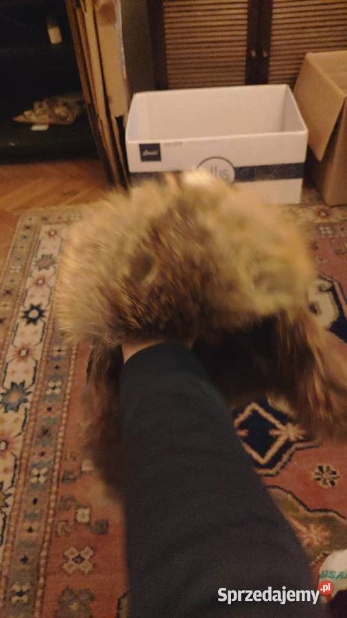 Trochę zwariowana czapka uszanka z futra Uniseks mazowieckie Warszawa