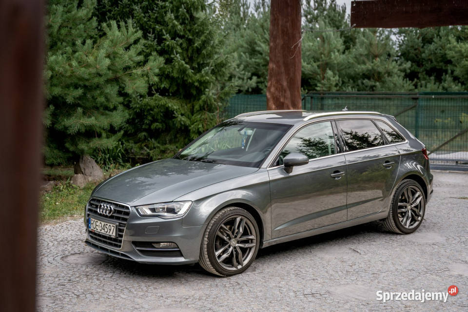 Audi A3 8V 20 TDI 150 Hatchback Quattro diesel podkarpackie