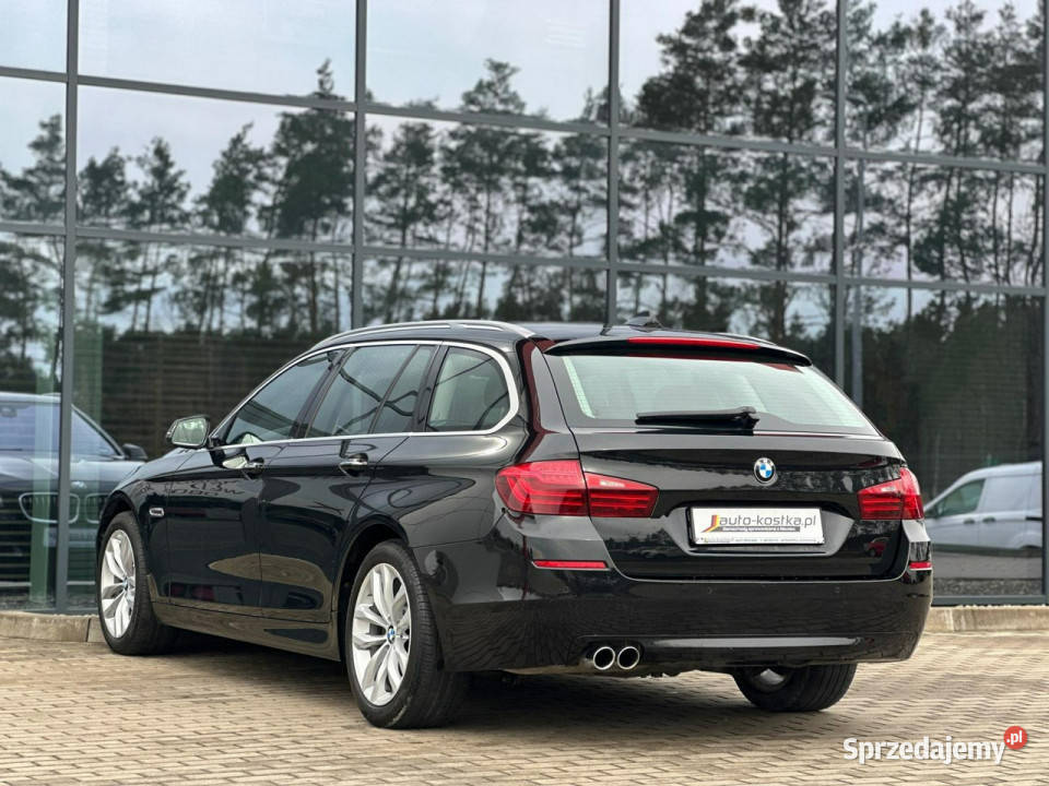 BMW 525 Bixenon LED Elklapa Skóra Asystent napęd 4x4 Kąty Opolskie sprzedam