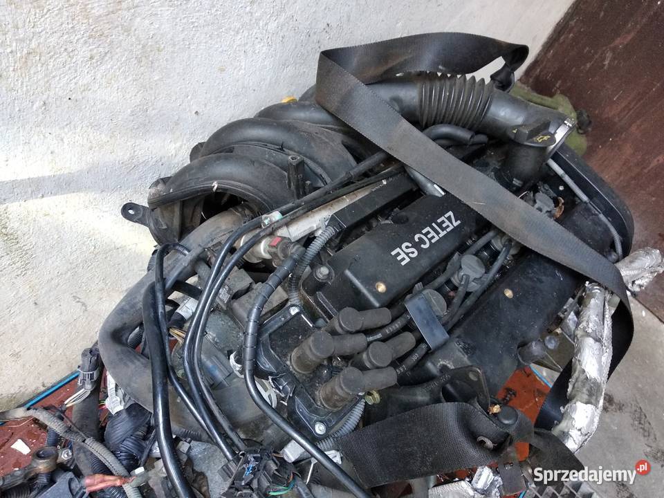 silnik 14 16v zetec 1N1G Ford Fiesta Fusion Silniki i osprzęt Warszawa