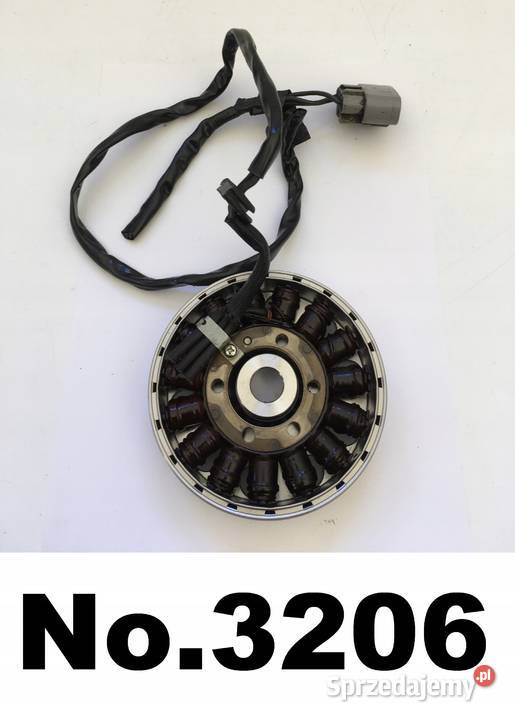 BMW S 1000 RR K46 Stojan Prądnica Koło magnesowe Łobżenica