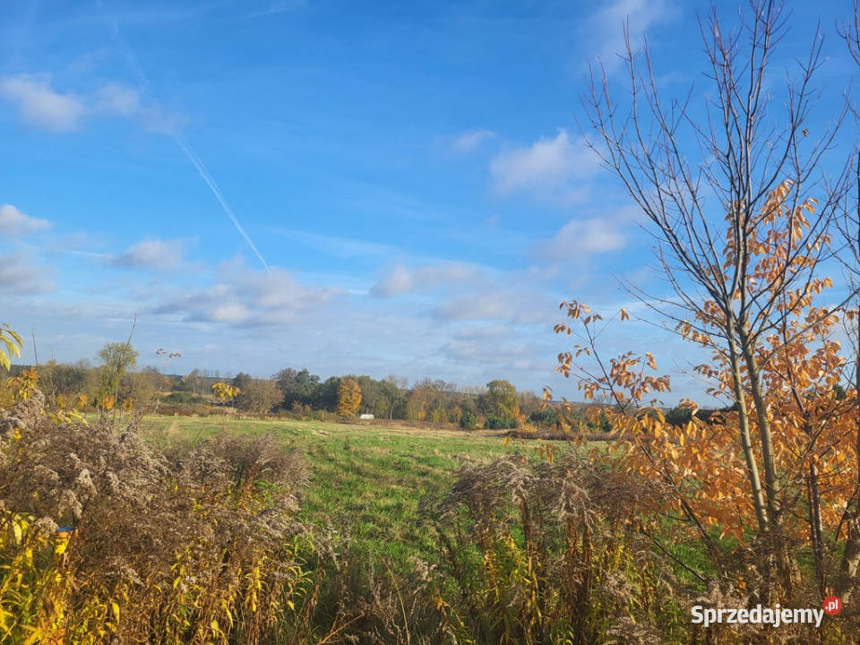 Do sprzedaży grunt Kobylanka zachodniopomorskie