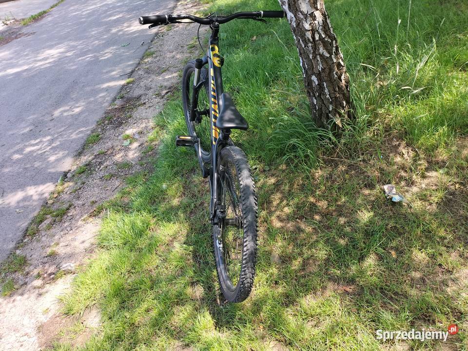 Dirt specjalized p3 2019 Miechów