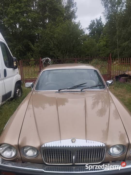 Sprzedam daimler jaguar v12