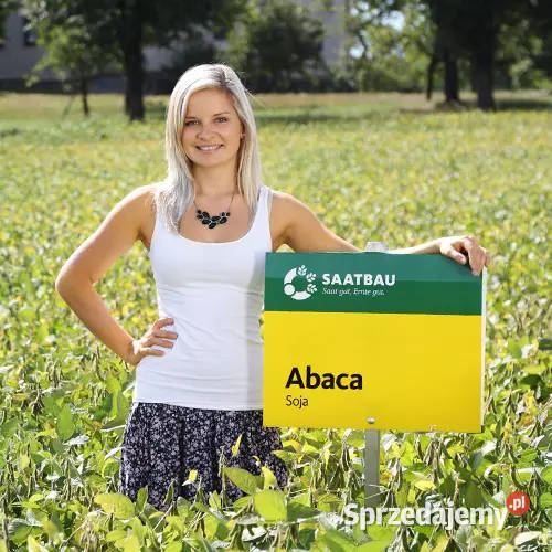 Materiał siewny soja Saatbau Abaca Acassa Kramsk