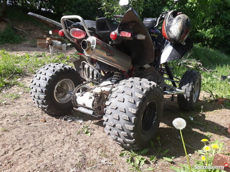 Access Triton 450 Lucky Star Raptor LTZ 53KM