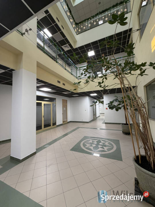 wynajmu lokalu 110m Warszawa