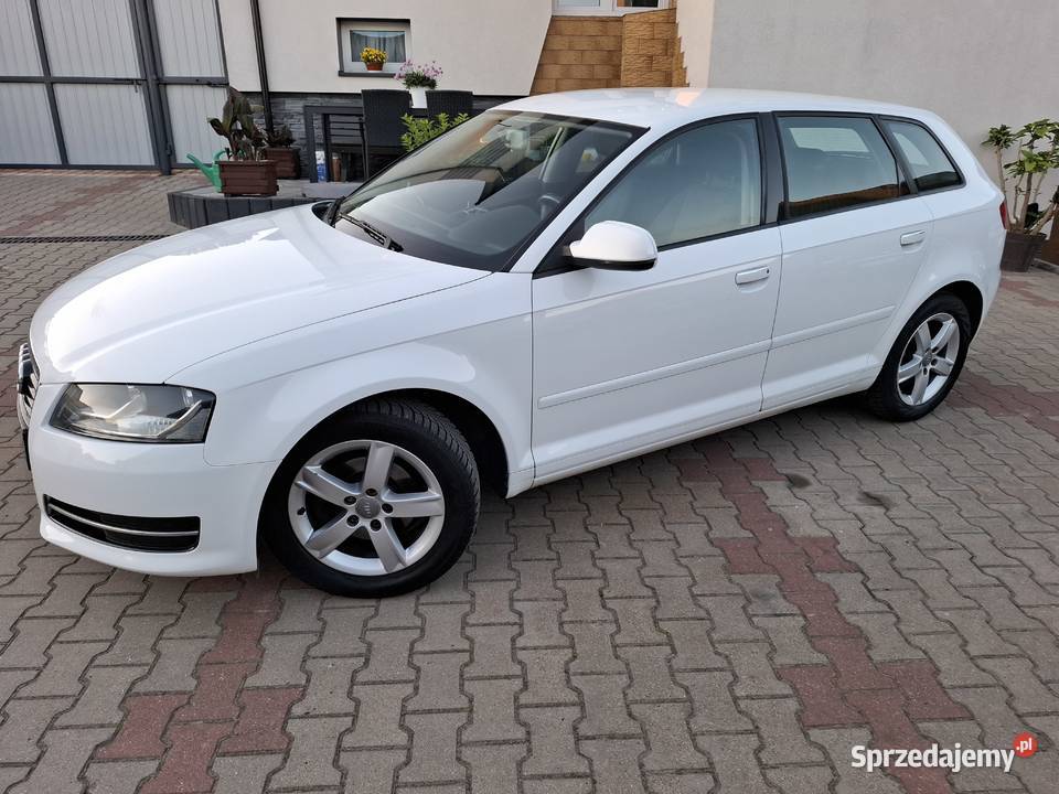 Audi a316 MPI102SerwisZadbany A3 świętokrzyskie Chybice