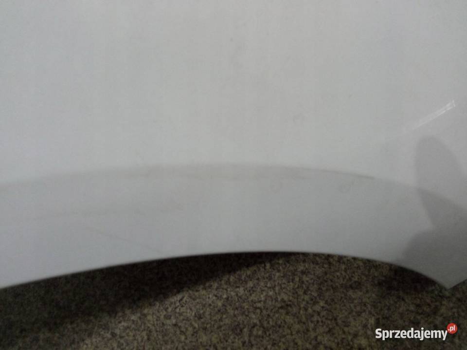 BŁOTNIK PRAWY PRZÓD DV369 Renault Scenic III