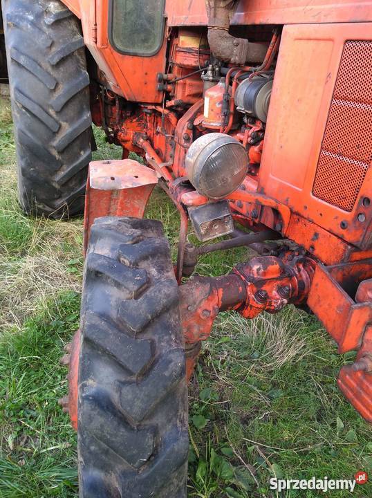 Mtz 82 Napęd 4x4 Dobrzyń nad Wisłą