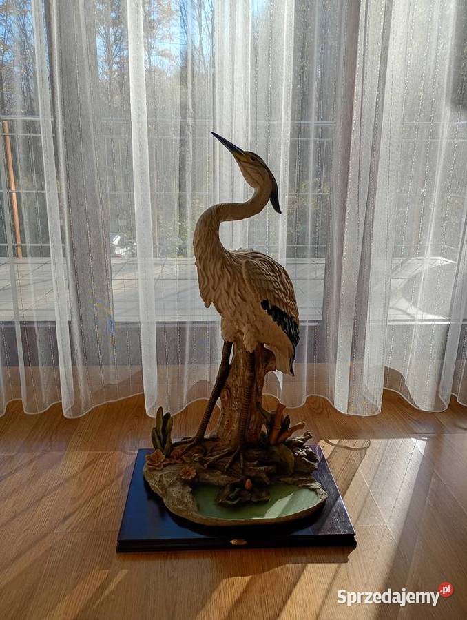 C Z A P L A duża żywa Sztuka współczesna