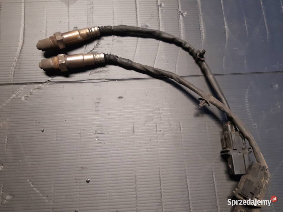 Sonda Lambda Nissan Pathfinder 40 V6 sprzedam