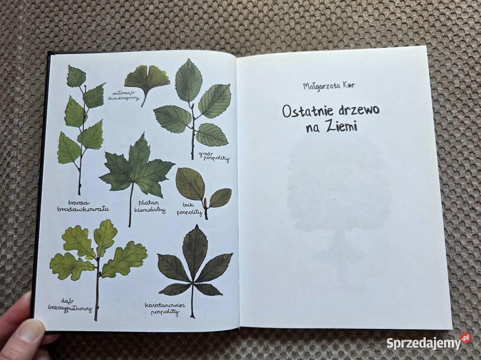 Ostatnie drzewo na Ziemi Małgorzata Kur wiek 912 Kraków