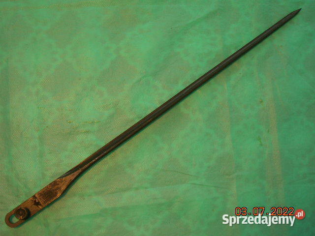 Włoski kolec w stanie Łódź sprzedam