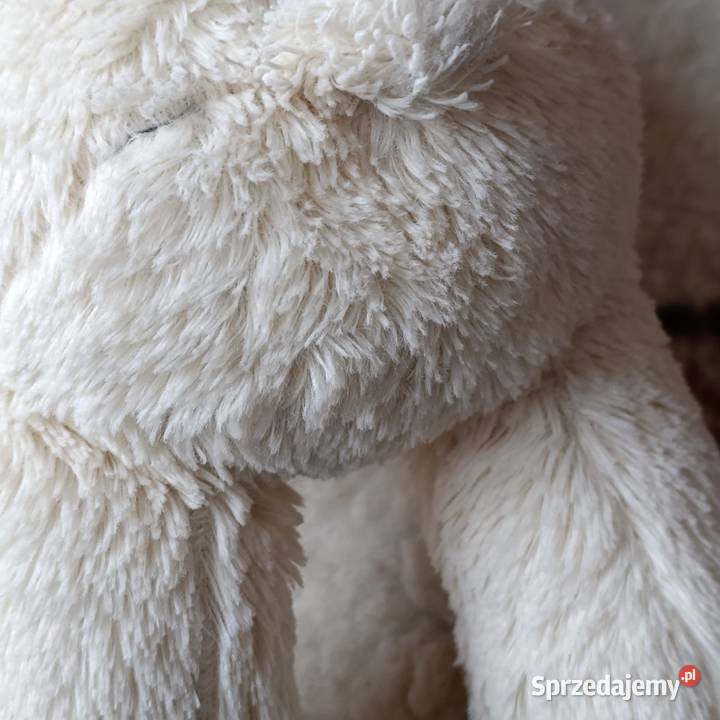 miś w odcieniu kremowym 40