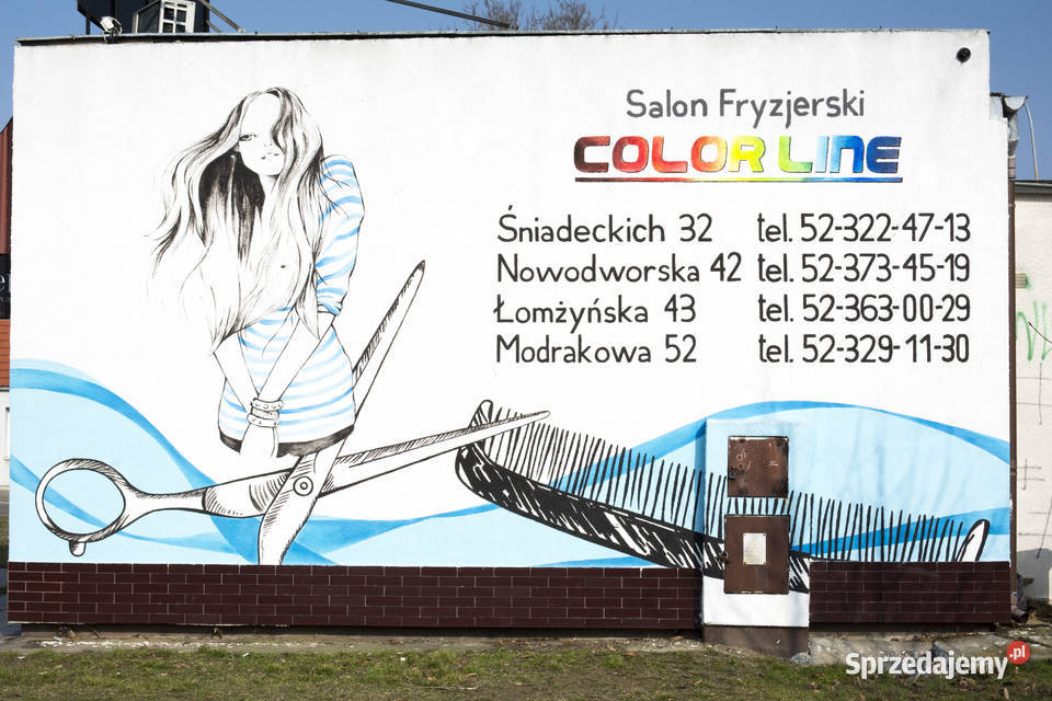 Murale Artystyczne malowanie ścian Graffiti