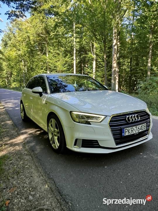 Audi a3 8v Krotoszyn