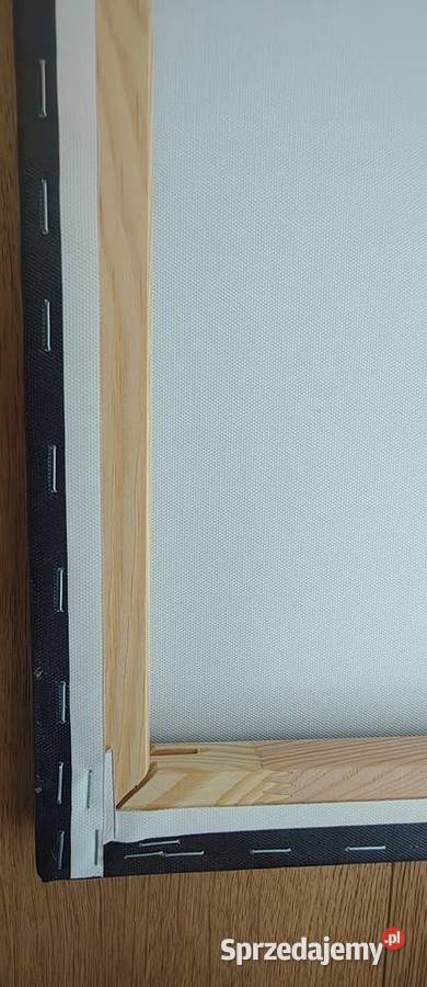 Obraz na płótnie Auto Ford Mustang Toruń