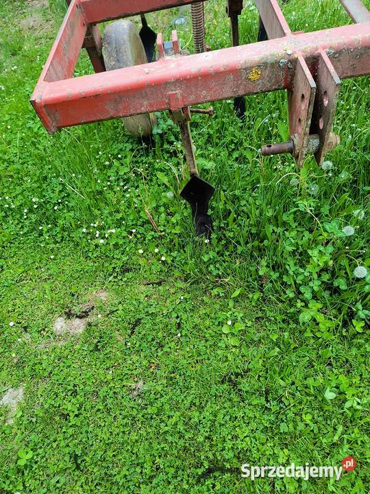 Sprzedam siewnik poznaniak
