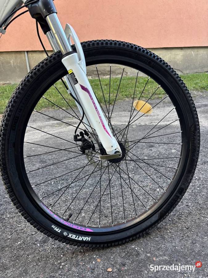 Sprzedam rower Romet 26 zadbany i sprawny Górskie, MTB Radowo Wielkie