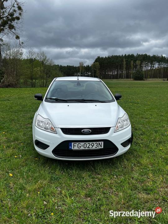 FORD FOCUS Skwierzyna