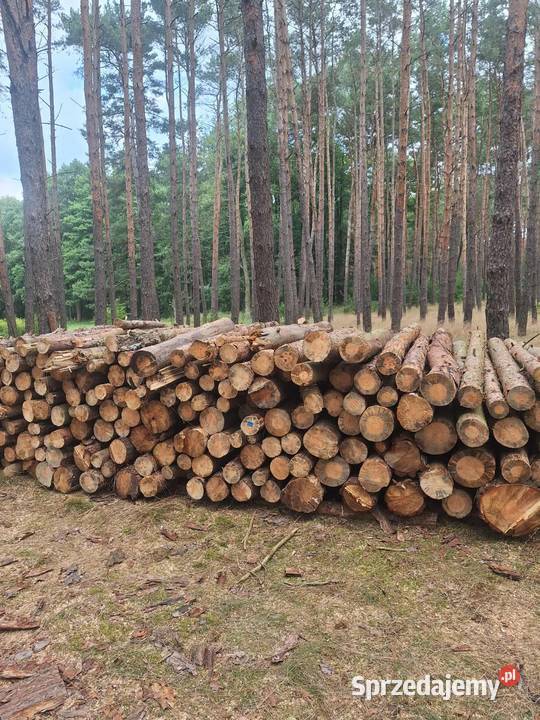 Sprzedaż drewna opalowego suche Wronki