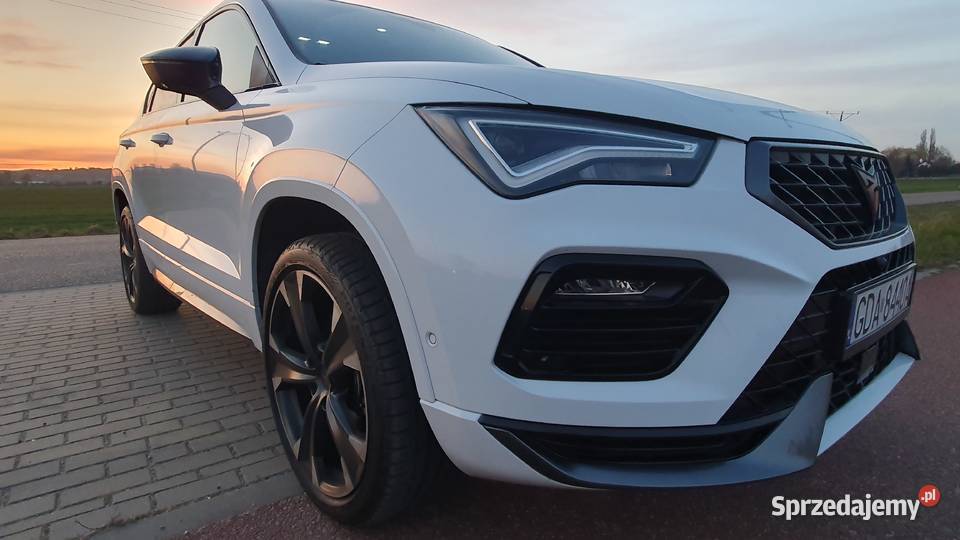 Cupra Ateca 15 TSI dsg nowa super wyposażona