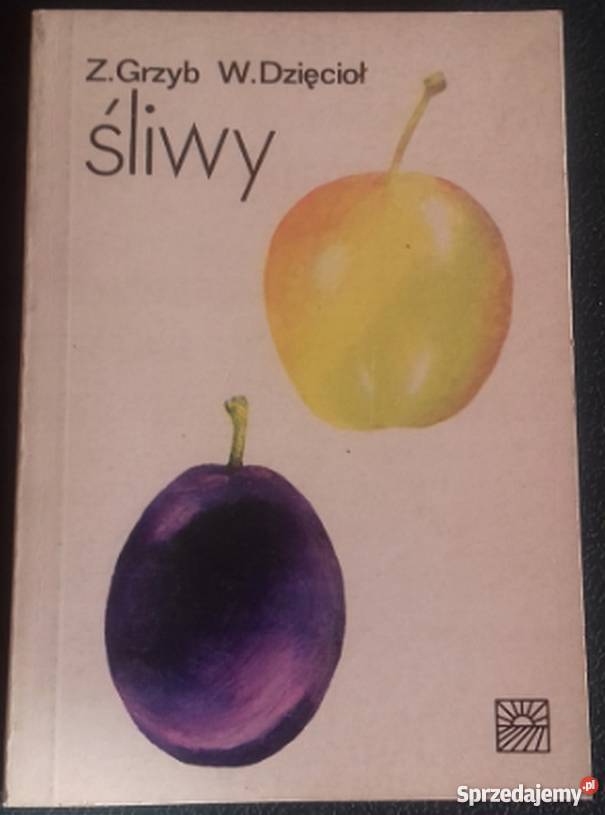 ŚLIWY GRZYB Z DZIĘCIOŁ W Słupsk